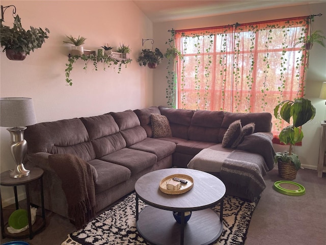 4802 51st St W Unit 1724, Bradenton, FL 34210 - living area featuring carpet floors