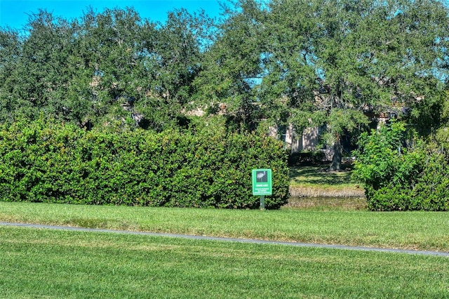 3804 Amapola Ln, Sarasota, FL 34238 - photo 47