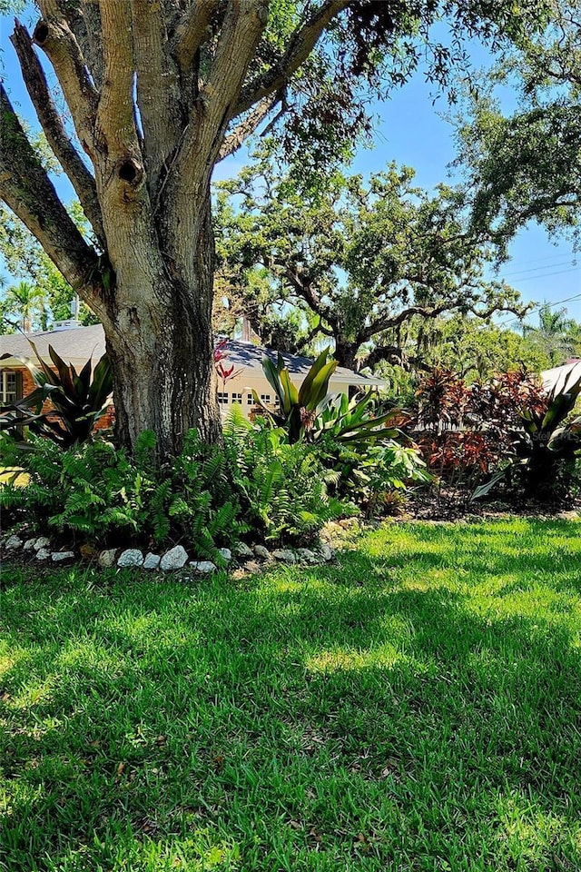 219 24th St W, Bradenton, FL 34205 - view of grassy yard