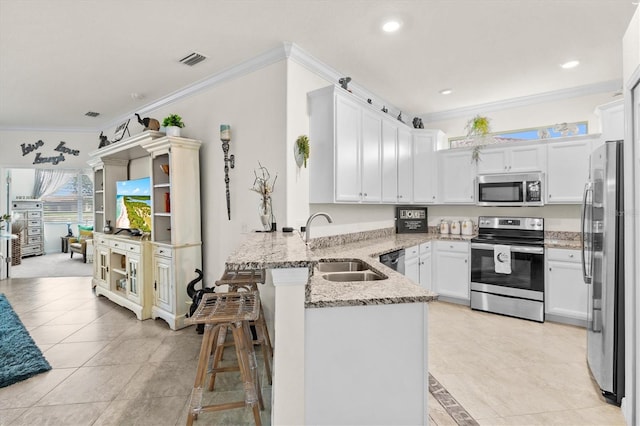 12230 Amica Loop, Venice, FL 34293 - kitchen with stainless steel appliances, a peninsula, ornamental molding, light stone counters, and a sink