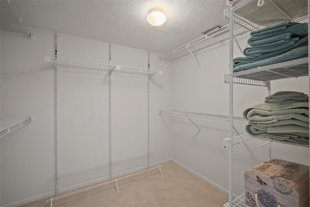 4530 Pinebrook Cir Unit 109, Bradenton, FL 34209 - spacious closet featuring light colored carpet