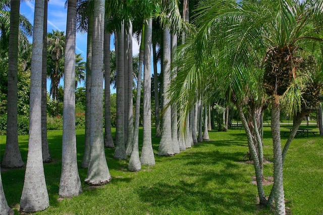 4204 Overture Cir # 4204, Bradenton, FL 34209 - view of grassy yard