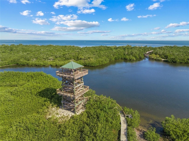 4204 Overture Cir # 4204, Bradenton, FL 34209 - aerial view of a large body of water and a forest