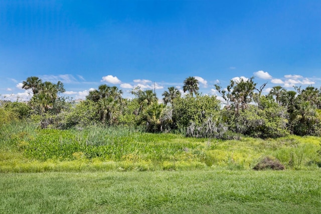 4739 Reisswood Loop, Palmetto, FL 34221 - view of local wilderness