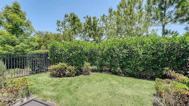 11603 Bluebird Pl, Lakewood Ranch, FL 34211 - view of yard