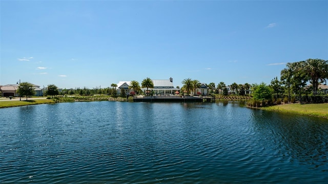11603 Bluebird Pl, Lakewood Ranch, FL 34211 - water view