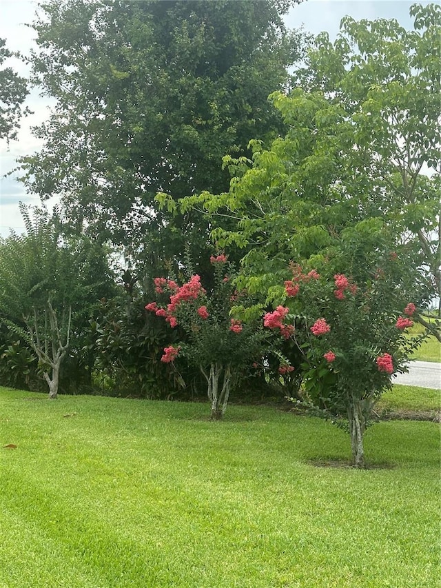 3192 Oaks Bnd, Bowling Green, FL 33834 - view of green lawn