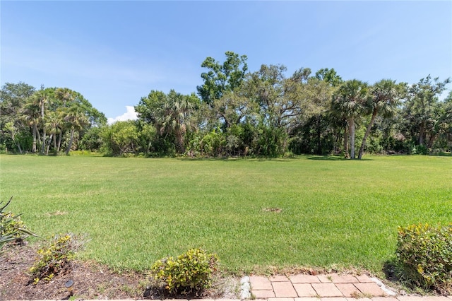 7331 Villa D Este Dr, Sarasota, FL 34238 - view of grassy yard with view of wooded area