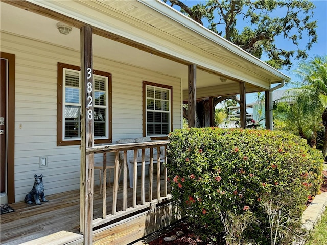 3828 6th Ave W, Palmetto, FL 34221 - property entrance featuring covered porch