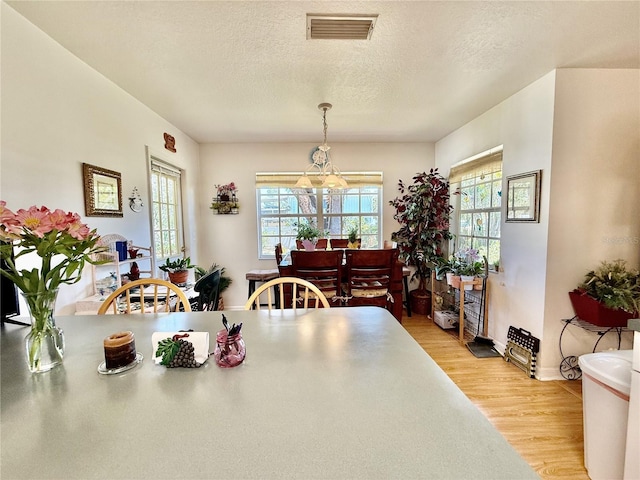 3828 6th Ave W, Palmetto, FL 34221 - dining room featuring light wood-type flooring, a textured ceiling, baseboards, and a chandelier