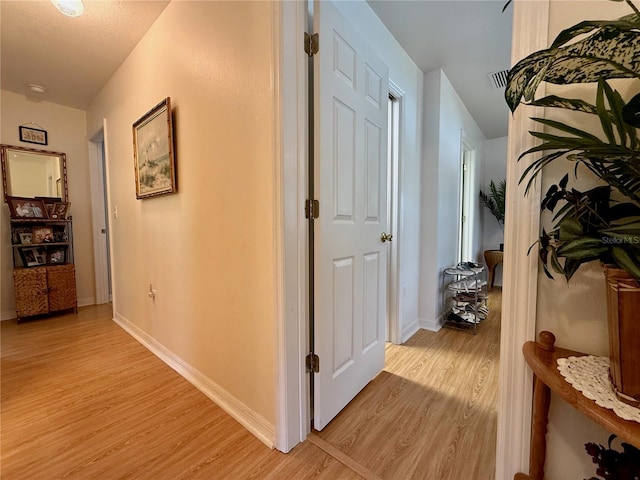 3828 6th Ave W, Palmetto, FL 34221 - hall with light wood-style flooring and baseboards