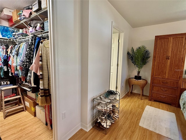3828 6th Ave W, Palmetto, FL 34221 - walk in closet featuring light wood finished floors