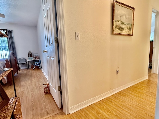 3828 6th Ave W, Palmetto, FL 34221 - corridor featuring light wood-type flooring and baseboards