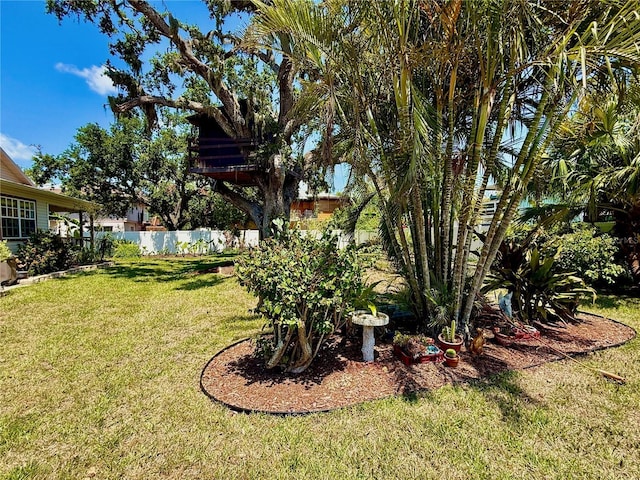 3828 6th Ave W, Palmetto, FL 34221 - view of yard