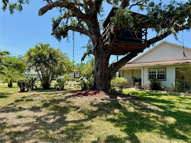 3828 6th Ave W, Palmetto, FL 34221 - view of grassy yard