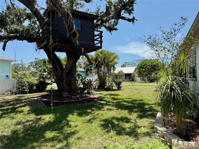 3828 6th Ave W, Palmetto, FL 34221 - view of yard