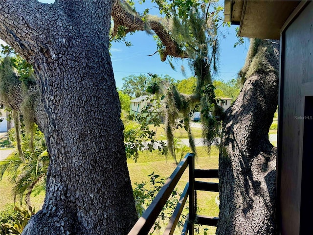 3828 6th Ave W, Palmetto, FL 34221 - view of yard