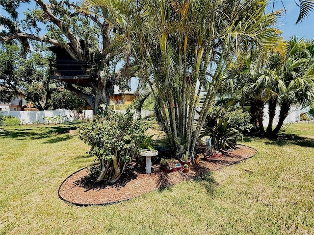 3828 6th Ave W, Palmetto, FL 34221 - view of yard