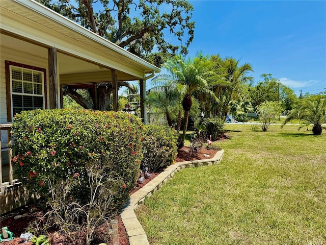 3828 6th Ave W, Palmetto, FL 34221 - view of grassy yard
