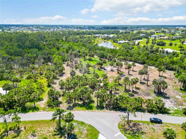 24383 Jean La Fitte Blvd, Punta Gorda, FL 33955