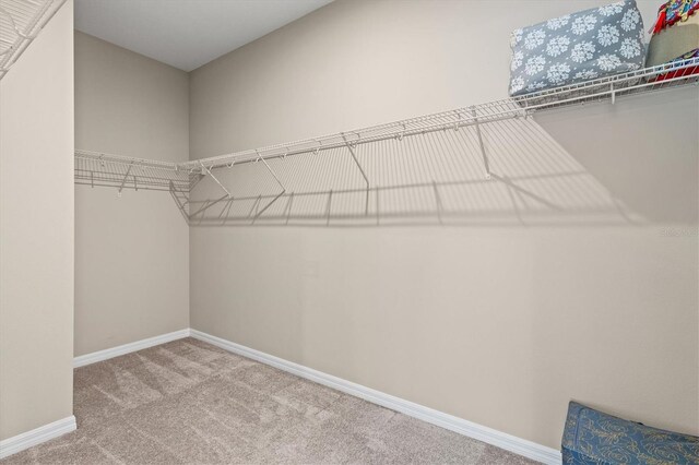 8272 Summer Night Rd, Sarasota, FL 34241 - walk in closet featuring carpet