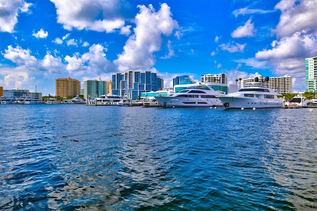 8272 Summer Night Rd, Sarasota, FL 34241 - water view with nearby urban area and a dock