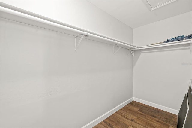 1040 Hope St, Venice, FL 34285 - walk in closet with dark wood-type flooring