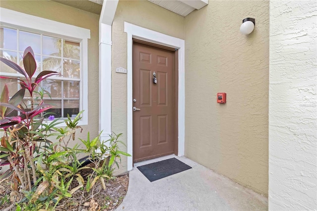 5401 Bentgrass Dr Unit 1-113, Sarasota, FL 34235 - doorway to property featuring stucco siding