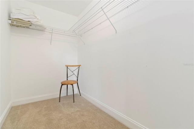 5401 Bentgrass Dr Unit 1-113, Sarasota, FL 34235 - walk in closet with light colored carpet