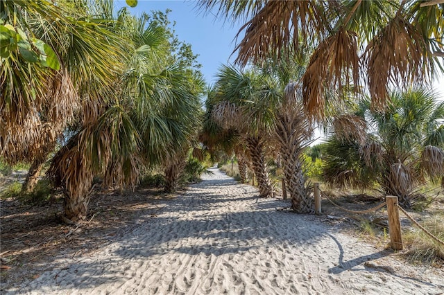 310 Avenida Milano, Sarasota, FL 34242 - view of street