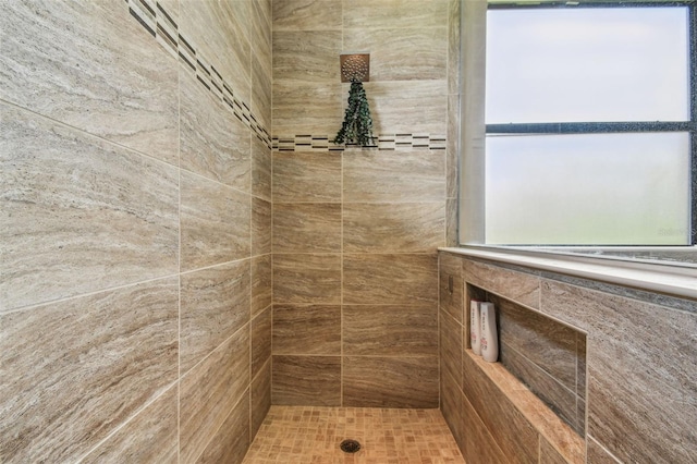 16246 26th St E, Parrish, FL 34219 - full bathroom with a tile shower