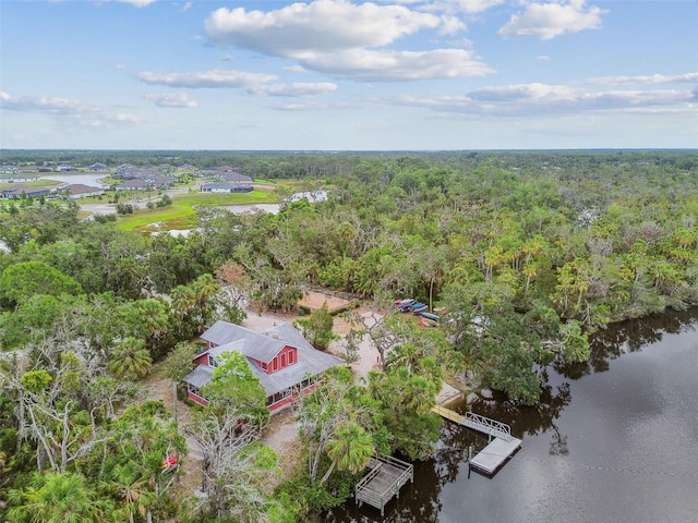 16246 26th St E, Parrish, FL 34219 - drone / aerial view of a forest and a nearby body of water