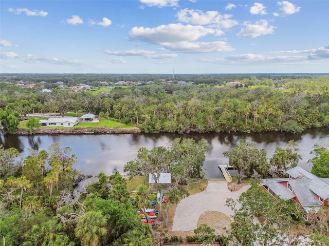 16246 26th St E, Parrish, FL 34219 - bird's eye view of a nearby body of water and a heavily wooded area