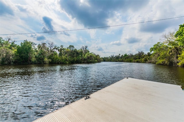 16246 26th St E, Parrish, FL 34219 - dock featuring a water view and a view of trees