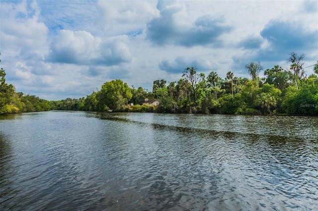 16246 26th St E, Parrish, FL 34219 - water view featuring a forest