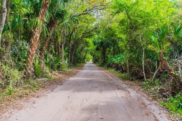 16246 26th St E, Parrish, FL 34219 - view of dirt / gravel road