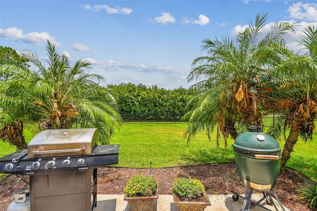16246 26th St E, Parrish, FL 34219 - view of yard