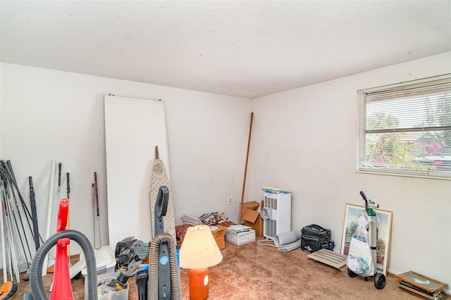 3921 Marlborough Pl, Sarasota, FL 34241 - miscellaneous room with carpet floors