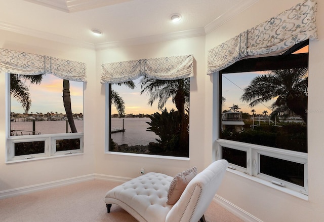 801 3rd St E, Palmetto, FL 34221 - sitting room featuring carpet flooring, crown molding, baseboards, and a water view