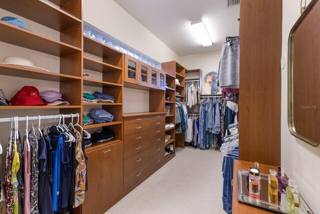 801 3rd St E, Palmetto, FL 34221 - spacious closet featuring light carpet
