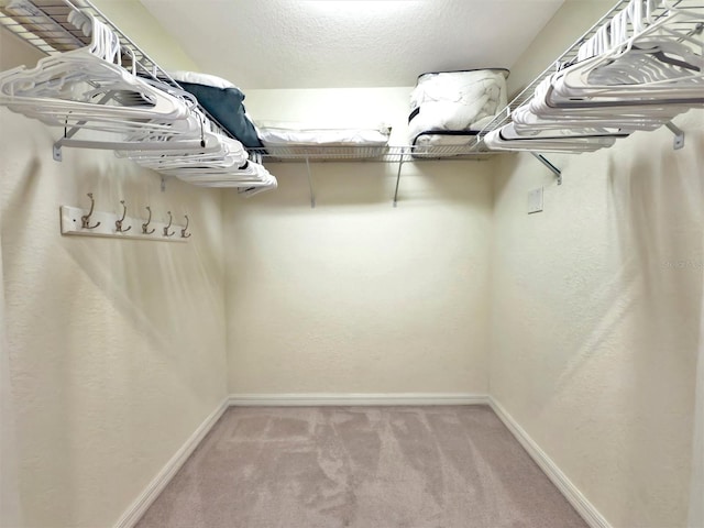 5843 Wake Forest Run Unit 104, Bradenton, FL 34211 - spacious closet featuring light carpet