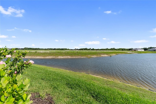 10030 Degas Ter, Bradenton, FL 34212 - photo 49