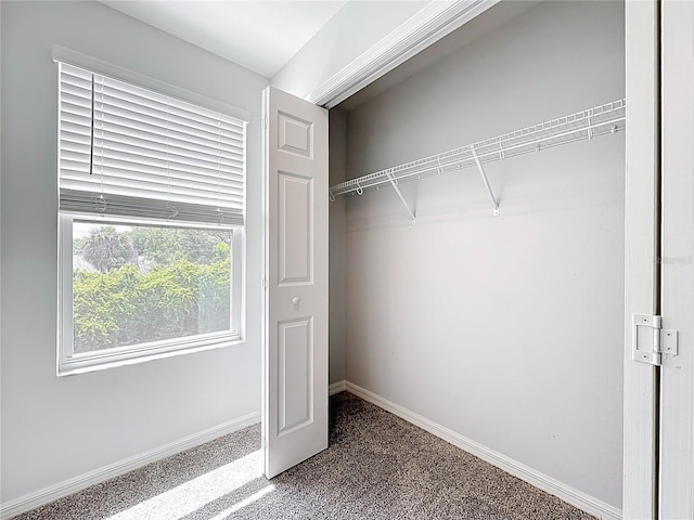 1053 Grantham Dr, Sarasota, FL 34234 - view of closet