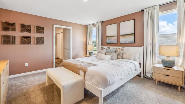 5046 Rocky Coast Pl, Palmetto, FL 34221 - carpeted bedroom featuring baseboards