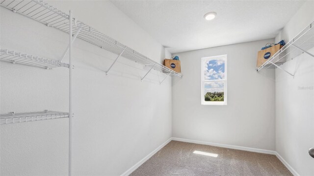5046 Rocky Coast Pl, Palmetto, FL 34221 - spacious closet featuring carpet