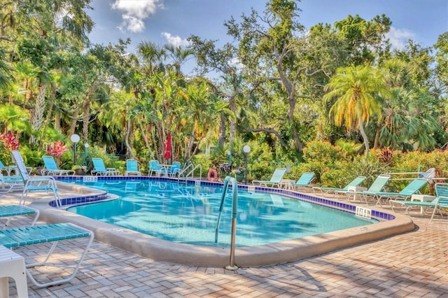 6501 Mourning Dove Dr Unit 215, Bradenton, FL 34210 - community pool with a patio and view of scattered trees