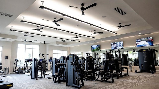 15752 Sacile Ln, Bradenton, FL 34211 - workout area featuring carpet, a ceiling fan, and plenty of natural light