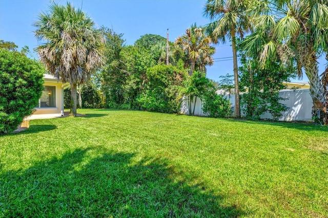 1324 Augusta Ln S, Saint Petersburg, FL 33707 - view of yard