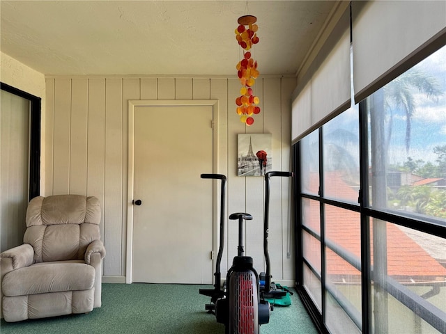5400 34th St W Unit H12, Bradenton, FL 34210 - workout room featuring carpet flooring and healthy amount of natural light