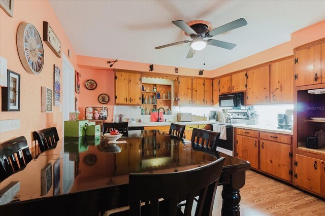 4015 Asbury Pl, Sarasota, FL 34233 - photo 12